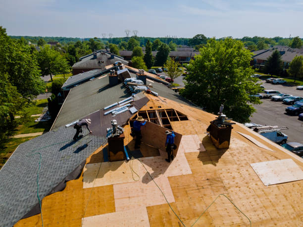 Best Metal Roofing Contractor  in New Paris, IN