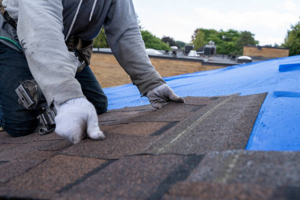Best Shingle Roofing Installation  in New Paris, IN