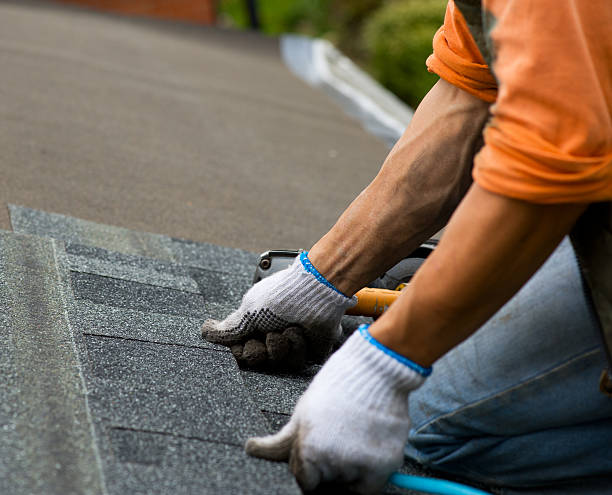 Best Roof Waterproofing Services  in New Paris, IN